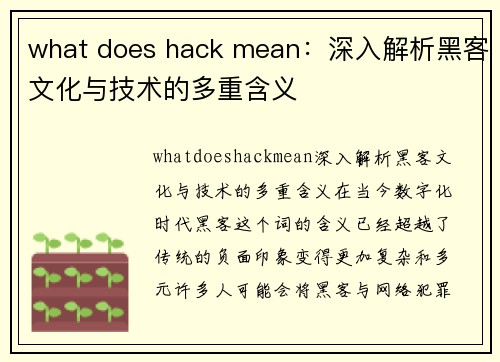 what does hack mean：深入解析黑客文化与技术的多重含义